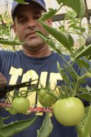 ABT cultivos tapados 17